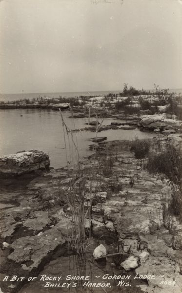 Photographic postcard view along the rocky shoreline of Lake Michigan, including tall grass and shrubs. Caption reads: "A Bit of Rocky Shore - Gordon Lodge - Baileys Harbot, Wis."