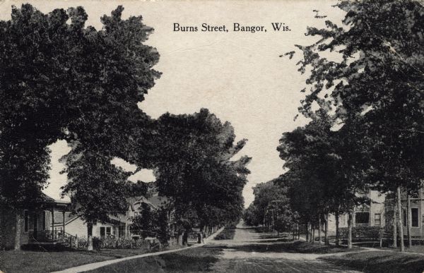 Photographic postcard view down a tree-lined street in a residential neighborhood. Caption reads: "Burns Street, Bangor, Wis."