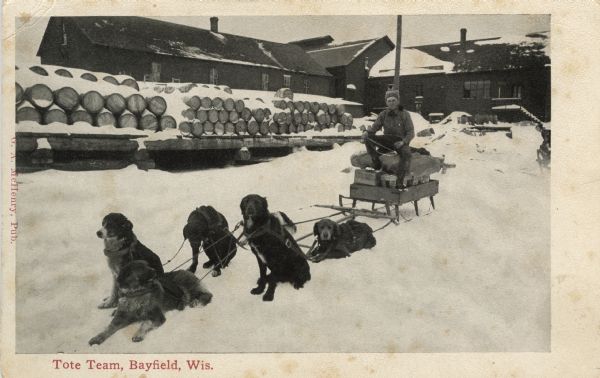 Dogsled team and their driver in front of a loading dock stacked with barrels. Caption reads: "Tote Team, Bayfield, Wis."