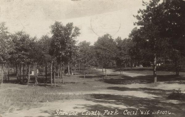 Photographic postcard view of a road passing through the county park. Caption reads: "Shawano County Park, Cecil, Wis."