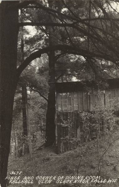 An exterior view of a log sided building in the woods. Caption reads: "Pines and Corner of Dining Room — Fallhall Glen, Black River Falls, Wis."
