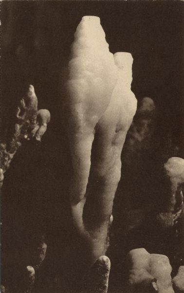 Photographic postcard view of a stalagmite surrounded by smaller stalagmites.