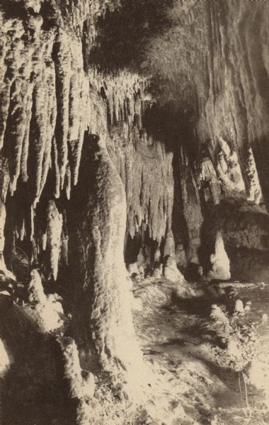 Photographic postcard view of interior of cave with large stalagmites and dozens of stalactites.