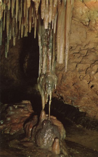 Photographic postcard view of a stalactite connected to stalagmites on the floor. Smaller stalactites surround it.