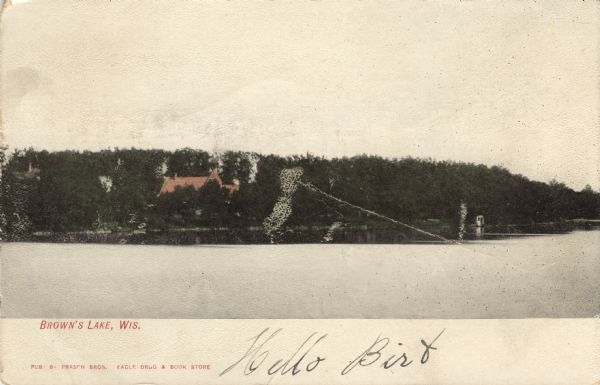 Colorized view of Brown's Lake. Buildings on the far shoreline are obscured by trees. Caption reads: "Brown's Lake, Wis."