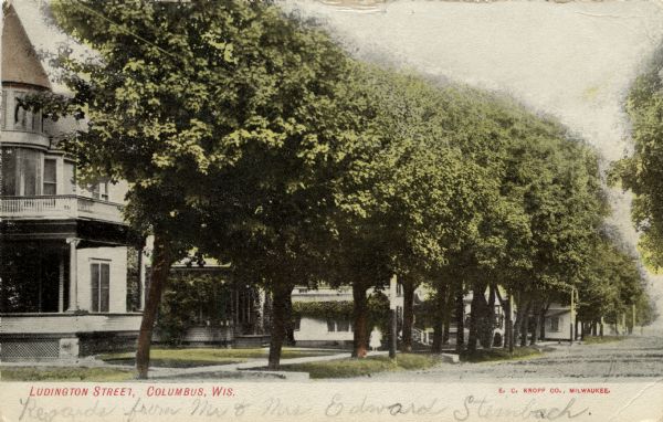 View from Ludington Street of houses along a sidewalk. Trees are planted along the terrace. Caption reads: "Ludington Street, Columbus, Wis."