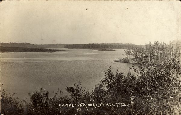 Elevated view of the Chippewa River.  Caption reads: "Chippewa River, Cornell, Wis."