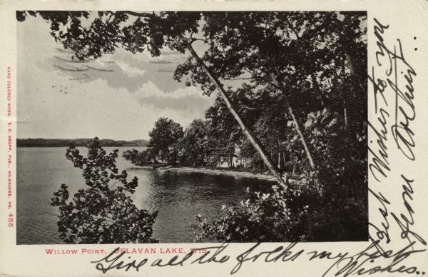 View through trees towards Willow Point at Delavan Lake. Caption reads: "Willow Point, Delavan Lake, Wis."