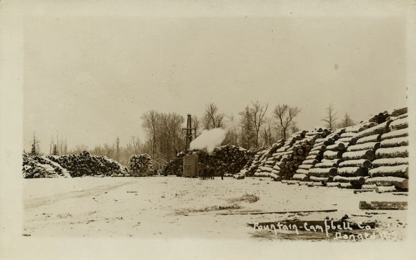 Photographic postcard view of the log storage yard at the Fountain-Campbell Company. Snow is on the ground. Caption reads: "Fountain-Campbell Company, Donald, Wis."