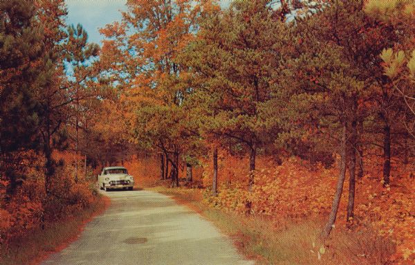 Evergreen Road in Peninsula State Park during fall peak season. An automobile is driving up the road.