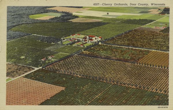 Color enhanced aerial postcard view of cherry orchards in Door County.