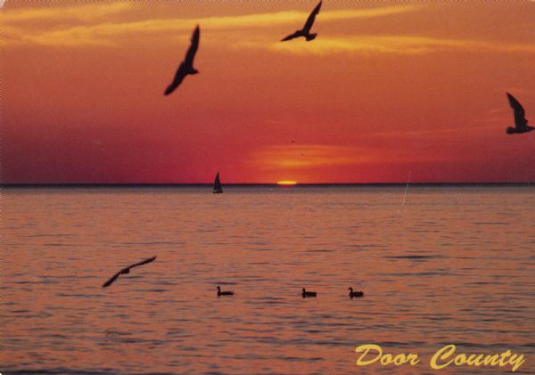 A view of Lake Michigan at sunrise, with an orange sky and gulls, ducks and a sailboat in silhouette.
