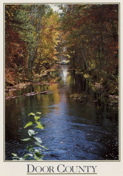 Color postcard view of a stream and fall color. Caption reads: "Door County." Text on the reverse reads: "This sparkling stream enhances the beautiful Door County autumn countryside captured in this picture."