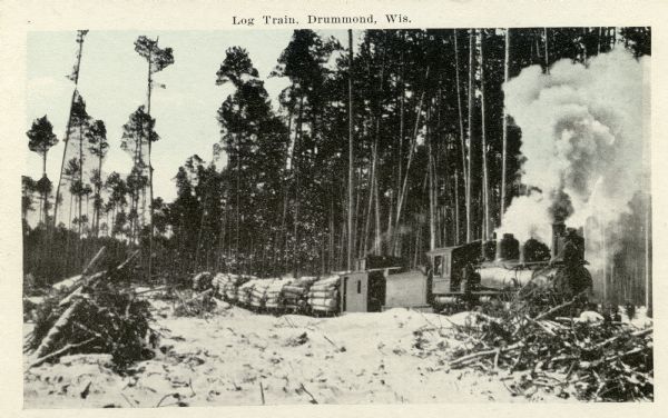 View across snowy ground towards a steam-belching train engine on the right pulling flatbeds of stacked logs near a forest of tall pines. Caption reads: "Log Train, Drummond, Wis."