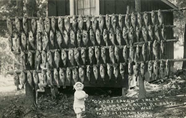 Fish display, showing a small girl standing in front of Walleyes caught at the resort on Catfish Lake, east of Eagle River off of STH 70. Caption reads: "'Daddy Caught These' at the Everett Resort, Eagle River, Wis."