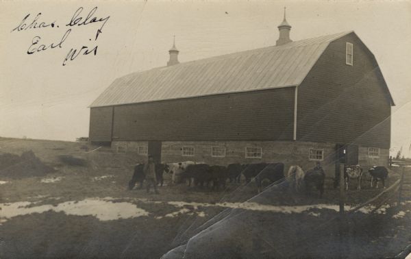 Black and white photographic postcard of a barn, with two men and cows in the barnyard. There are patches of snow on the ground.