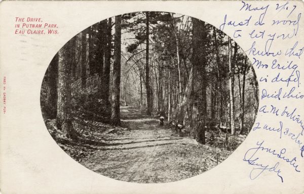 View of the tree-lined road in Putnam Park. Caption reads: "The Drive, in Putnam Park, Eau Claire, Wis."