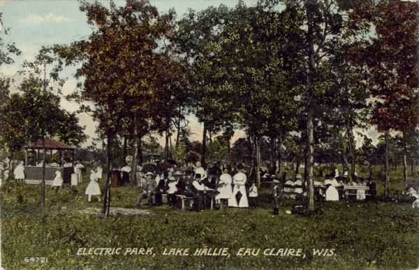 A colored photographic view of the Electric Park at Lake Hallie. A large group of adults and children are gathered around picnic tables under trees, and a small pavilion. The park is owned and maintained by an interurban transit company. Caption reads: "Electric Park, Lake Hallie, Eau Claire, Wis."