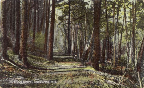 A colorized photographic postcard view of a dirt road through an area of tall trees. Caption reads: "Putman Drive, Eau Claire, Wis."