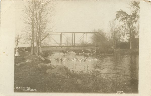 Sepia-toned view from shoreline of a small river, with a herd of cows and a flock of ducks near a bridge. Two women are standing on the left bank. Caption reads: "River Scene, Fillmore, Wis."