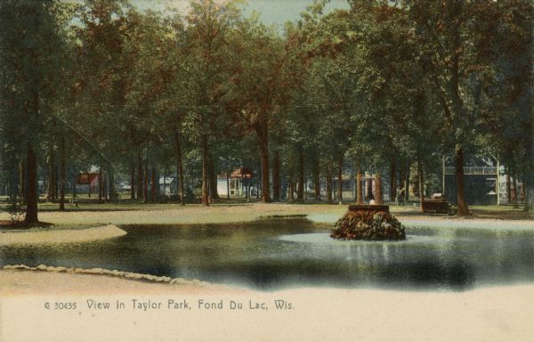 View of the pond and fountain in Taylor Park. Trees are in the background, obscuring the houses across the street. Caption reads: "View in Taylor Park, Fond du Lac, Wis."