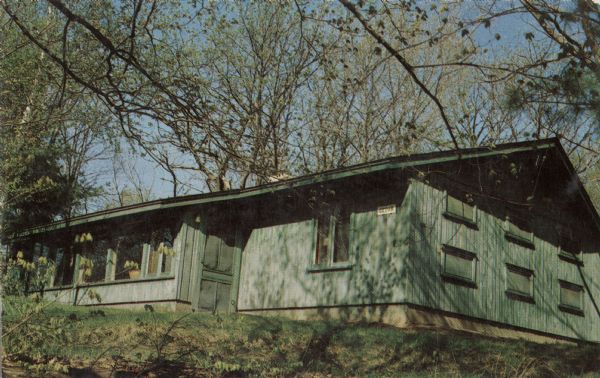Color postcard view of a cabin called "Cedar" at the Whispering Pines Methodist Camp on Spirit Lake.