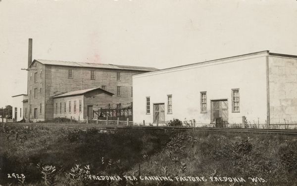 View across railroad tracks towards the pea canning factory. Caption reads: "Fredonia Pea Canning Factory, Fredonia, Wis."