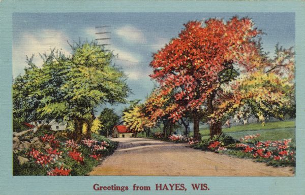 Color illustration of a road with roadside flowers and fall foliage in the trees. Buildings are in the distance. Caption reads: "Greetings from Hayes, Hayes, Wis."