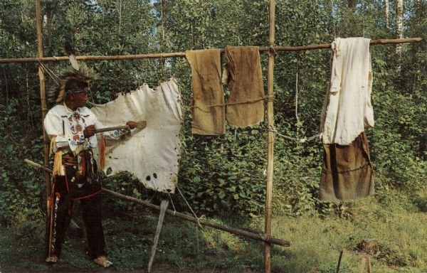 Ojibwa man tanning a hide outdoors.

Text on reverse reads: "Here at Historyland you can see the Chippewa Indians in their colorful native dress and natural settings of the way they lived, worked and played years ago."