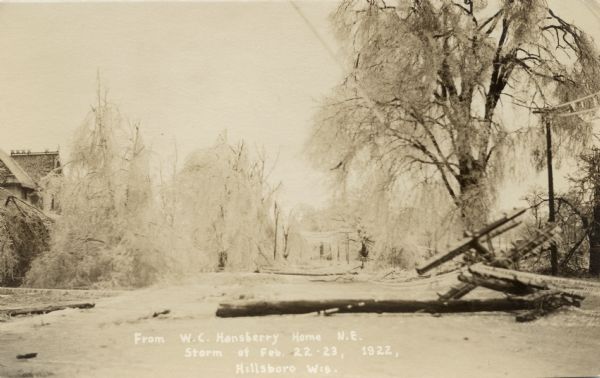 View down street toward the aftermath of an ice storm. There are downed power lines and ice-covered trees. Caption reads: "From W.C. Hansberry Home N.E. Storm of Feb 22-23, 1922, Hillsboro, Wis."