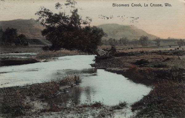 Hand-colored view of a creek and surrounding landscape. Bluffs are in the distance. Caption reads: "Bloomers Creek, La Crosse, Wis."