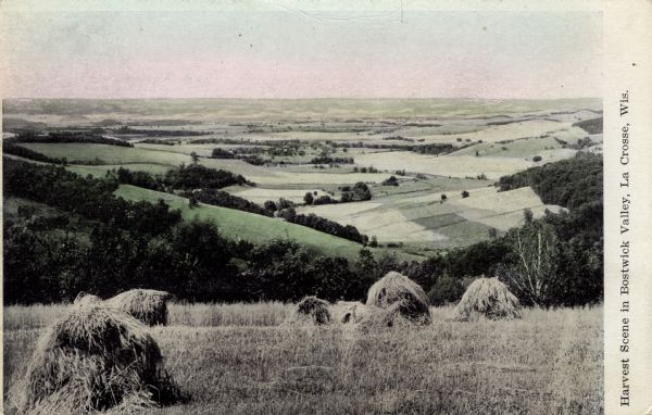 View from a hay field on a hill looking towards pastures and fields in a valley. Caption reads: "Harvest Scene in Bostwick Valley, La Crosse, Wis."