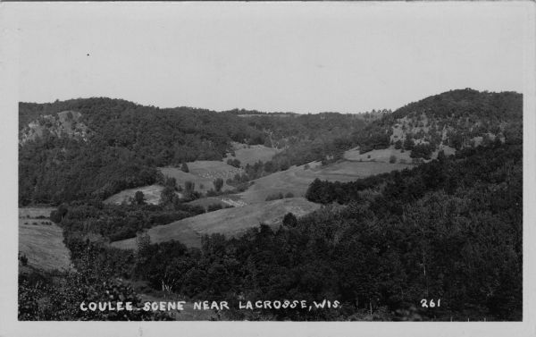 Photographic postcard view of a coulee landscape. Agricultural fields are on a hillside. Caption reads: "Coulee Scene near La Crosse, Wis."