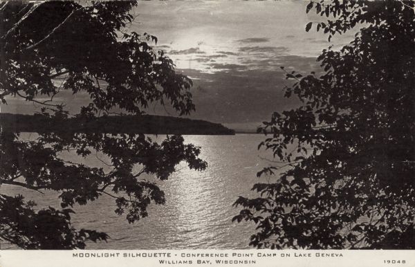 Nighttime elevated view of the lake through trees. Conference Point is on the far shoreline. Caption reads: "Moonlight Silhouette &#8212; Conference Point Camp on Lake Geneva, Williams Bay, Wisconsin."