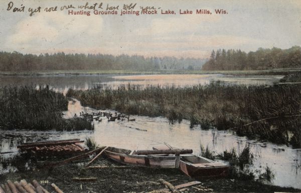 View of a marshy part of Rock Lake. Two small rowboats and a pile of logs are on the shore, and a flock of ducks is in the water. Caption reads: "Hunting Grounds joining Rock Lake, Lake Mills, Wis."
