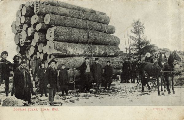 Group of people standing around a tall stack of logs chained together on a sled. People are in a horse-drawn sled on the right. Caption reads: "Logging Scene, Loyal, Wis."