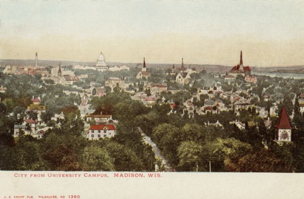 Elevated view of central Madison with the Capitol on the horizon. State Street is lined with trees. Caption reads: "City from University Campus, Madison, Wis."