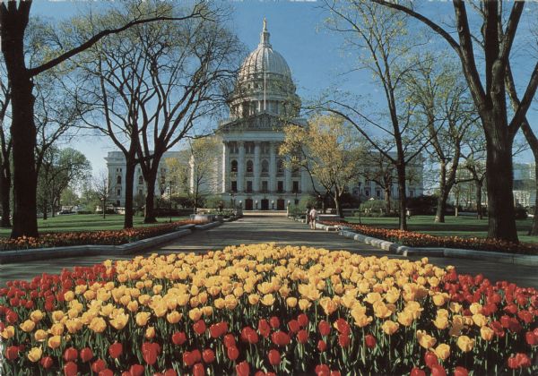 View of the South Hamilton Street entrance to the Capitol. A round tulip bed is in the foreground, and more tulip beds are along the sidewalk leading to the Capitol.