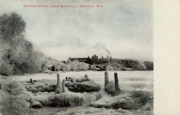 View of ice and snow-covered trees and frozen Lake Mendota. Bascom Hall is on a hill on the horizon. Caption reads: "Winter Scene &#8212; Lake Mendota, Madison, Wis."