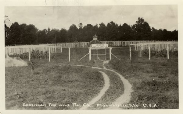 View of the fox kennels at a fur farm. The main office is in the center of the fenced-in area. Caption reads: "Lemmer Fox and Fur Co., Marathon, Wis. U.S.A."