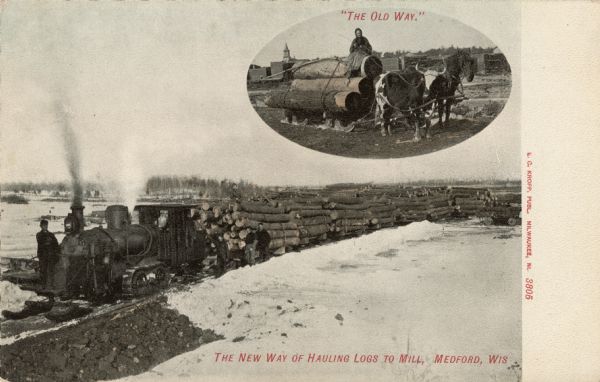 View towards a train hauling many flatbed cars of logs. There is an inset photograph of a person on top of a stack of logs on a sleigh being pulled by an ox and a horse. Captions read: "'The Old Way'" and  "The New Way of Hauling Logs to Mill, Medford, Wis."
