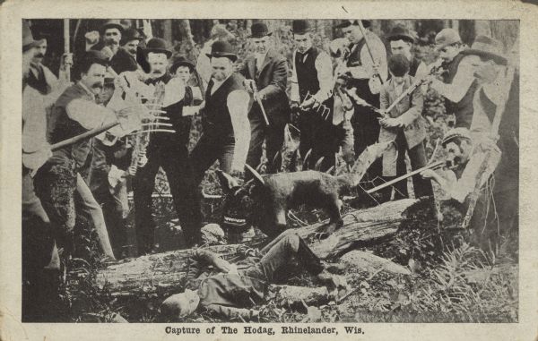 Text on front reads: "Capture of the Hodag, Rhinelander, Wis." A large group of men armed with guns, pitchforks and rakes hold a beast at bay on top of a log. Below the log is the victim of the beast. The beast is a Hodag, a creature made-up as a hoax by Eugene Shepard of Northern Wisconsin in 1893. Since then, the Hodag has become the official symbol of Rhinelander.