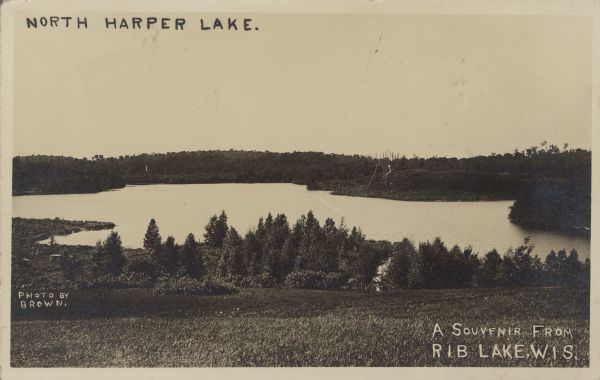 Text on front reads: "North Harper Lake", "Photo by Brown", and "A Souvenir from Rib Lake, Wis." A view of the lake from a rise, surrounded by trees and shrubs.