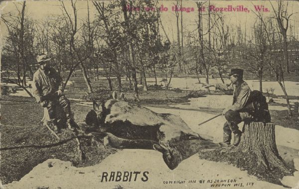 Text in the upper right corner in red ink reads: "Things to do in Rozellville, Wis." Two hunters stand around a pile of giant rabbits that they have killed in a Wisconsin forest. It is winter; there is snow on the ground. One of the hunters, who has a pipe in his mouth and a rifle in his hand, points at the pile of game. 
