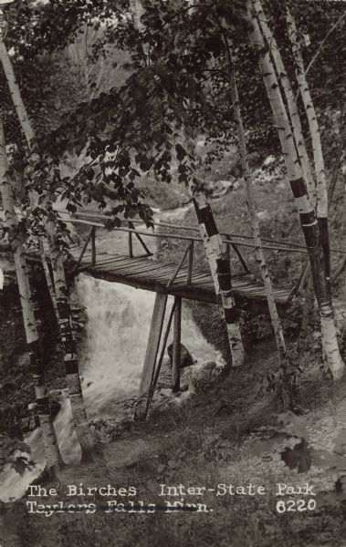 Text on front reads: "The Birches. Inter-State Park. Taylors Falls Minn." Taylors Falls is crossed out and "On Wisconsin Side" is handwritten on the reverse. A wooden pedestrian bridge crosses the St. Croix River through a grove of Birch trees. Also written on the back: "St. Croix River Dalles."