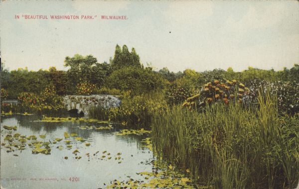 Text on front reads: "In 'Beautiful Washington Park,' Milwaukee." View of a pond with water lilies, flowers, trees and other wetland foliage.