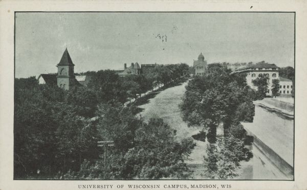 Text on front reads: "University of Wisconsin Campus, Madison, Wis." Elevated view of Bascom Hill and lower campus vicinity, possibly from the roof of the Wisconsin Historical Society. Bascom Hall (formerly Main Hall) is at the top of the hill. Music Hall with the clock tower is on the left. Trees line both sides of the hill.
