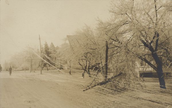 Damage to trees and wires in a sleet storm. Homes can be seen behind the ice coated wires, and a man is standing in the street on the left. Divided back.Handwritten on the back: "This one of the views taken in our recent sleet storm. You can see the ice laden trees. The pole you see standing is an electric l. pole & the broken ones are the telegraph p. There is another good view to be had, I have ordered some but don't know exactly when I'll get them. Jan. 1916."