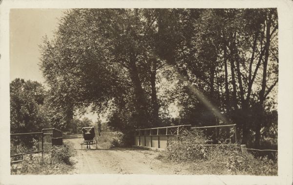 A horse-drawn buggy crossing a bridge with trees overhead.
