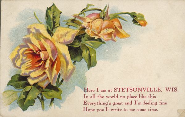 Text on front reads: "Here I am at STETSONVILLE, WIS. In all the world no place like this. Everything's great and I'm feeling fine. Hope you'll write to me some time." On reverse it reads: "Flower Series." A greeting postcard with yellow roses and a verse.